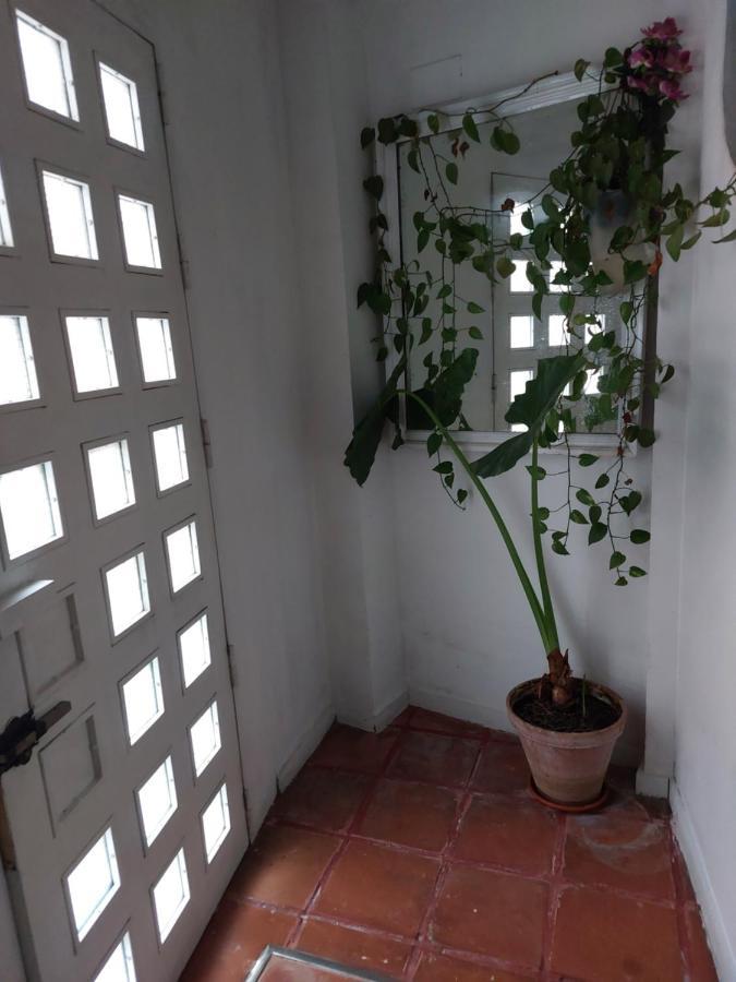 Apartamento Tipo Loth Alameda เซบีญา ภายนอก รูปภาพ